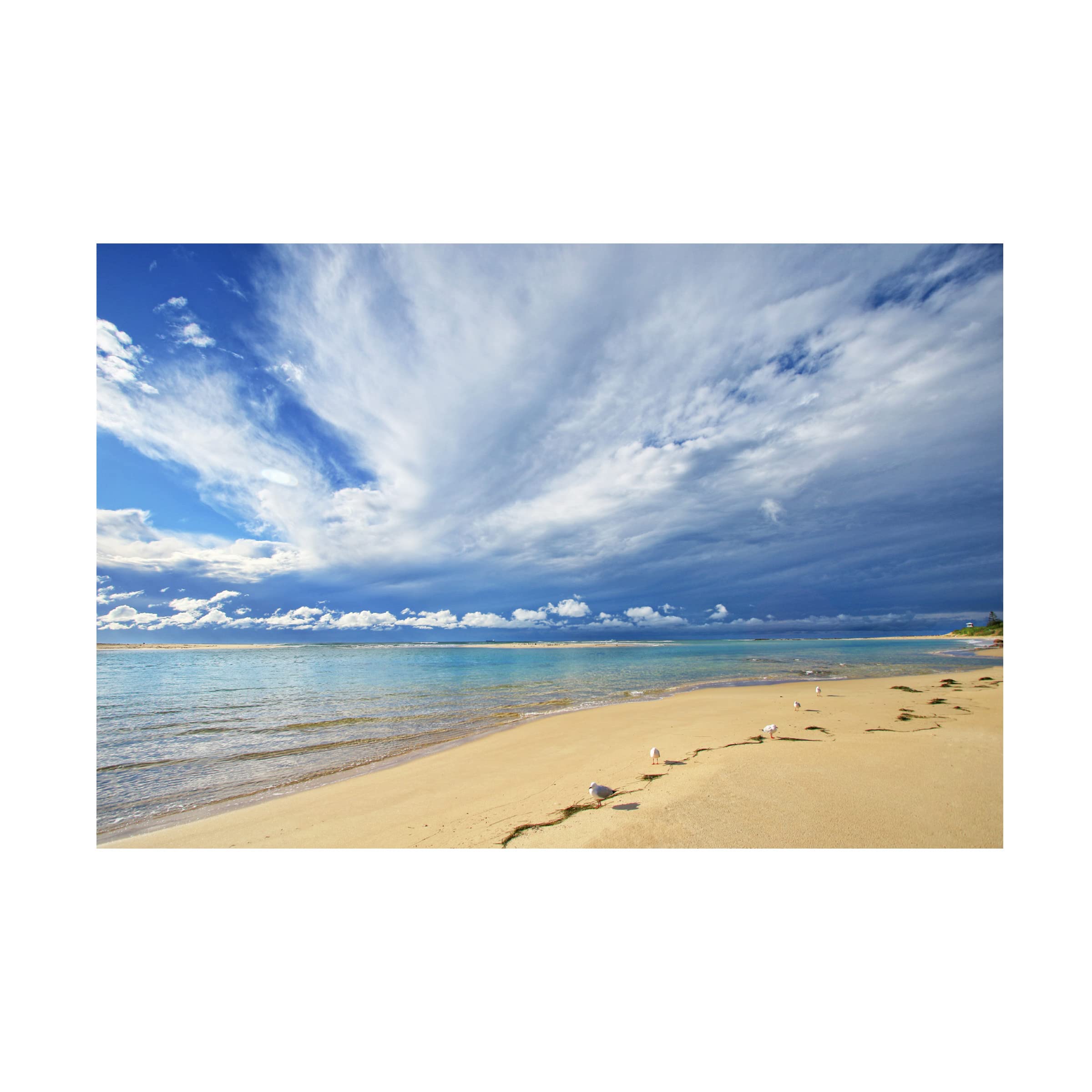 Trademark Fine Art 'Born to Be on a Beach 2' Canvas Wall Art by Beata Czyżowska - Coastal Decor for Living Room, Bedroom & Beach House
