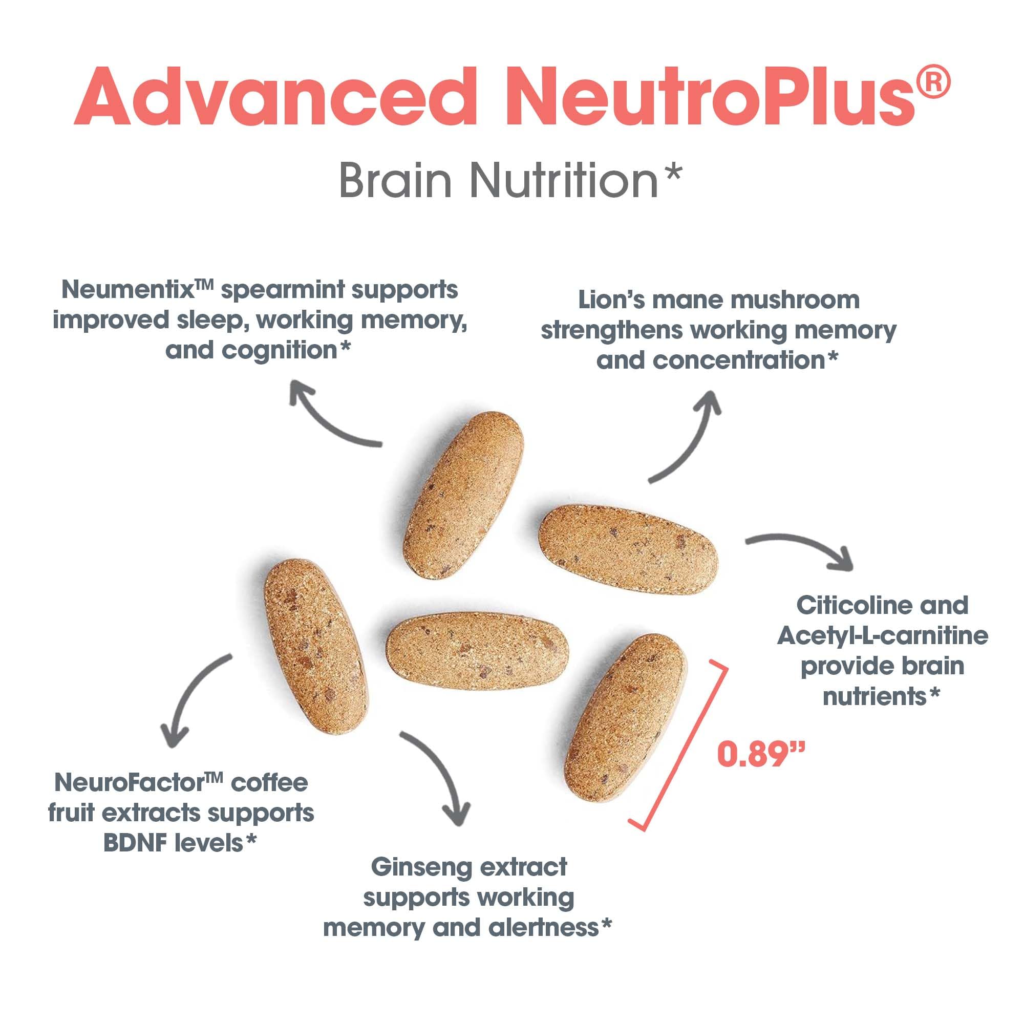 Allergy Research Group Advanced NeuroPlus Supplement - 90 Vegetarian Capsules for Memory & Focus Support, Brain Function Health with Lion's Mane | Cognitive Enhancement for Students, Professionals & Seniors