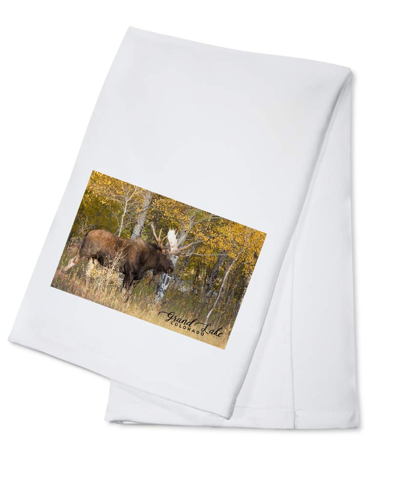 Colorado Grand Lake Moose 100% Cotton Tea Towel - Decorative Hand Towel for Kitchen, Home Decor, Cabin & Lodge Style - Perfect for Dish Drying, Gift Giving & Rustic Farmhouse Decor