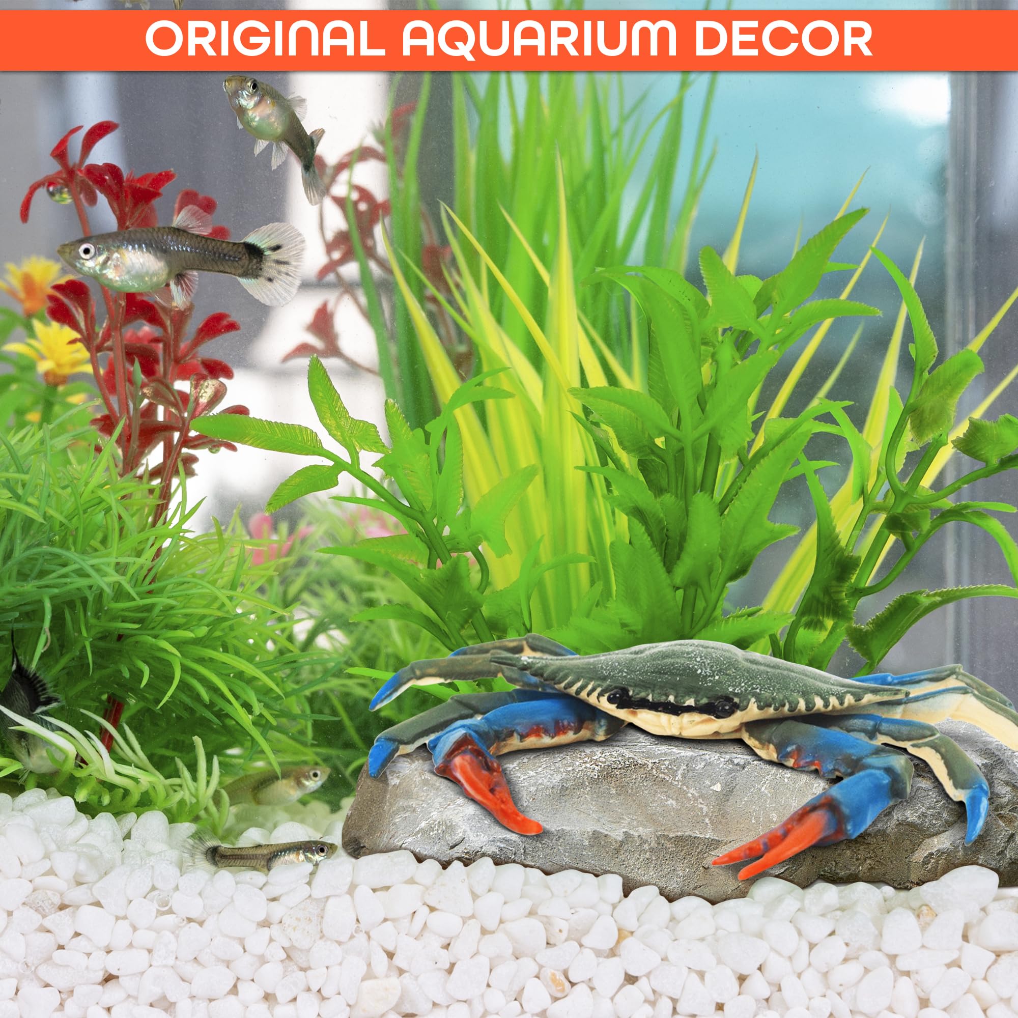 Blue Crab Tiki Bar Nursery - Realistic Plastic Crab Toy for Bath & Pool Play - Educational Ocean Sea Animal Figure for Science Learning - Birthday Gift & Home Decor - Perfect for Kids' Bath Time, Beach Themed Parties & Ocean Lovers