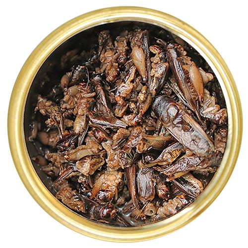 Nutritious Canned Crickets - High-Protein Edible Insects for Reptiles, Birds & Human Consumption | Perfect for Pet Food, Survival Kits & Sustainable Snacking