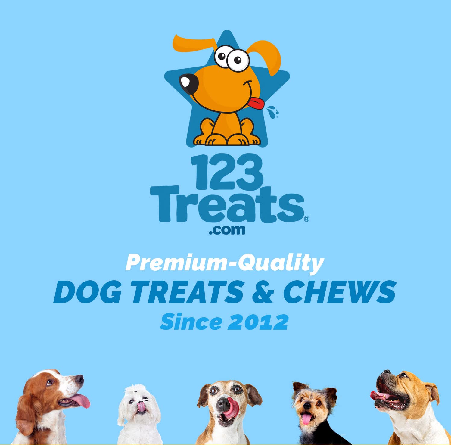 Premium Grass-Fed Beef Knee Caps for Dogs – 30 Count Natural Protein-Packed Knee Bone Treats | Easily Digestible Dog Chews for Dental Health & Joint Support | Perfect for Training, Rewards, and Long-Lasting Chewing