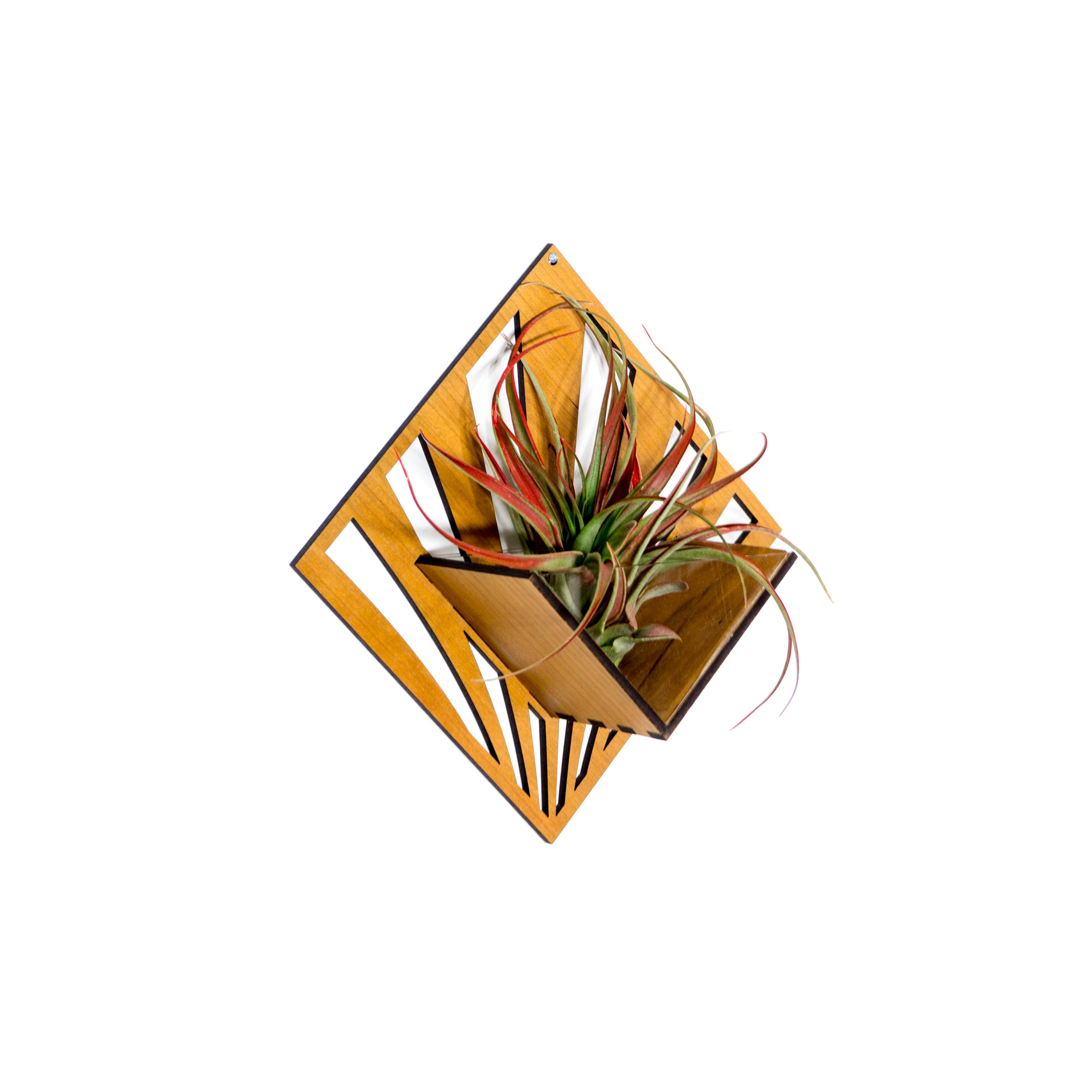 Handmade Wooden Quadrate Wall Planter Set of 2 - Air Plant Holder & Mounted Hanger Display for Tillandsia | Rustic Home Decor, Unique Plant Lover Gift Idea for Living Room, Bedroom or Office Decor