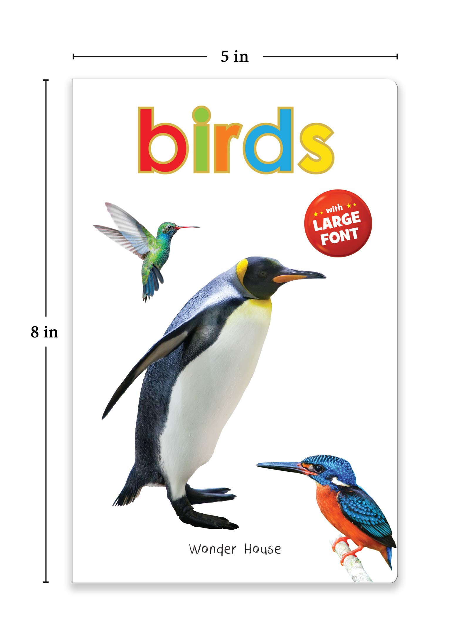 Birds - Big Board Books for Toddlers & Babies | Durable Early Learning Picture Book for Kids | Perfect for Storytime, Gifts & Preschool Education