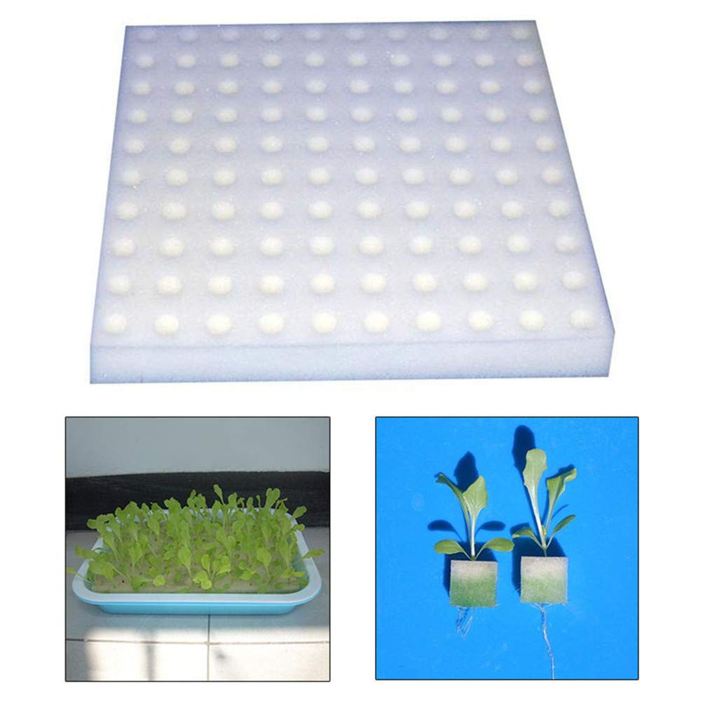 Flybloom 100 Pcs Hydroponic Nursery Pots - Biodegradable Sponge Growing System for Vegetables, Herbs & Plants | Indoor Home Gardening, Urban Farming & Sustainable Agriculture Accessories