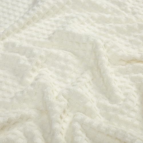 06 Ivory