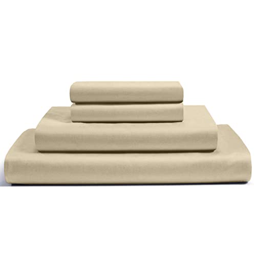 Beige Solid