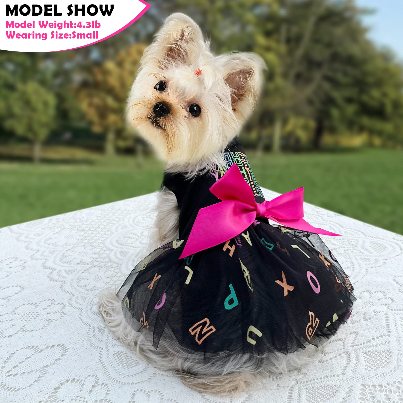 Small Dog Dresses for Girls - Mesh Summer Puppy Outfit for Yorkie & Chihuahua | Teacup Dog Clothes & Cat Princess Dress | Birthday Shirt & Apparel in XS Black | Perfect for Pet Parties & Special Occasions