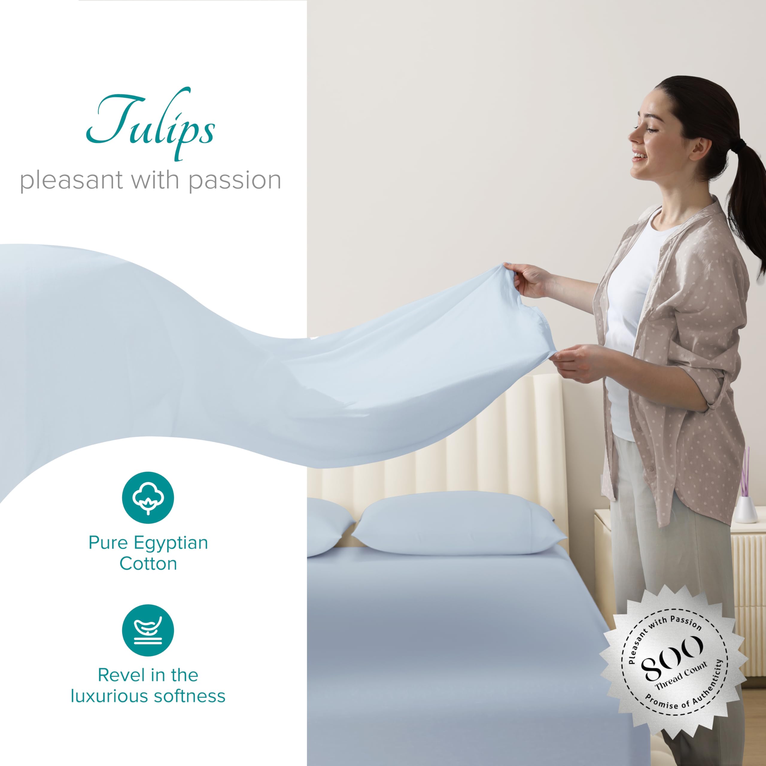 Luxury 100% Egyptian Cotton Queen Sheet Set - 4 PC 800 Thread Count Sateen Weave Bedding, Soft & Cooling Light Blue Sheets with 16