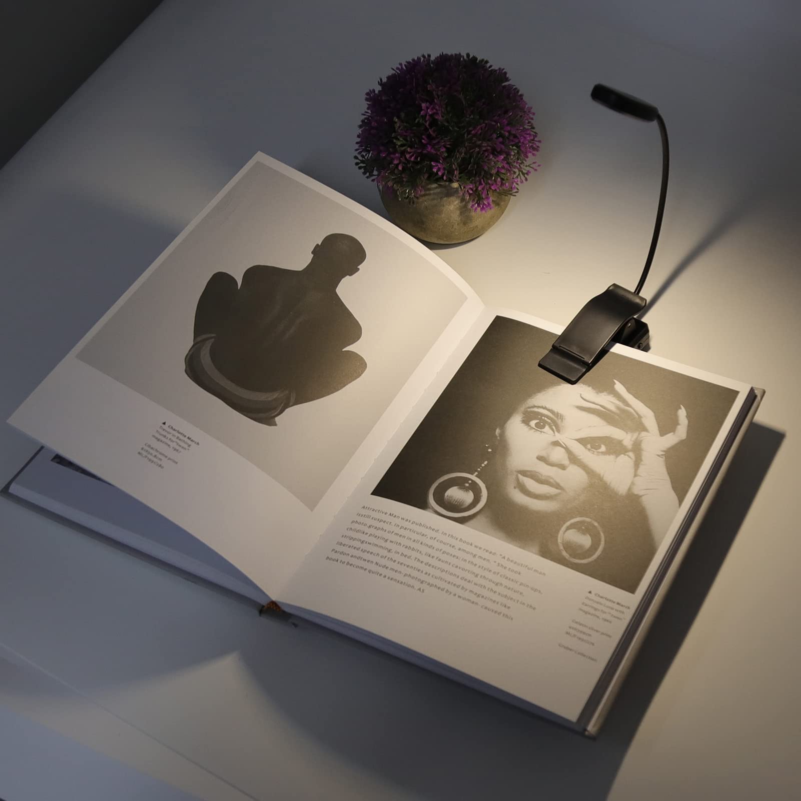 Clip-On Work Light with 9 Brightness Levels & Top Button Control - Portable Desk Lamp for Bedroom, Crafting, and Display - Adjustable Clamp Light with 3 Lighting Modes