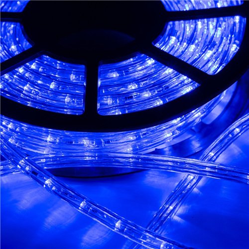 Diophros 100FT LED Rope Lights - Waterproof Outdoor/Indoor Decorative Lighting for Backyard, Garden, Party & Holiday Decor (Blue) - Perfect for Patio, Wedding, Christmas & Landscape Lighting