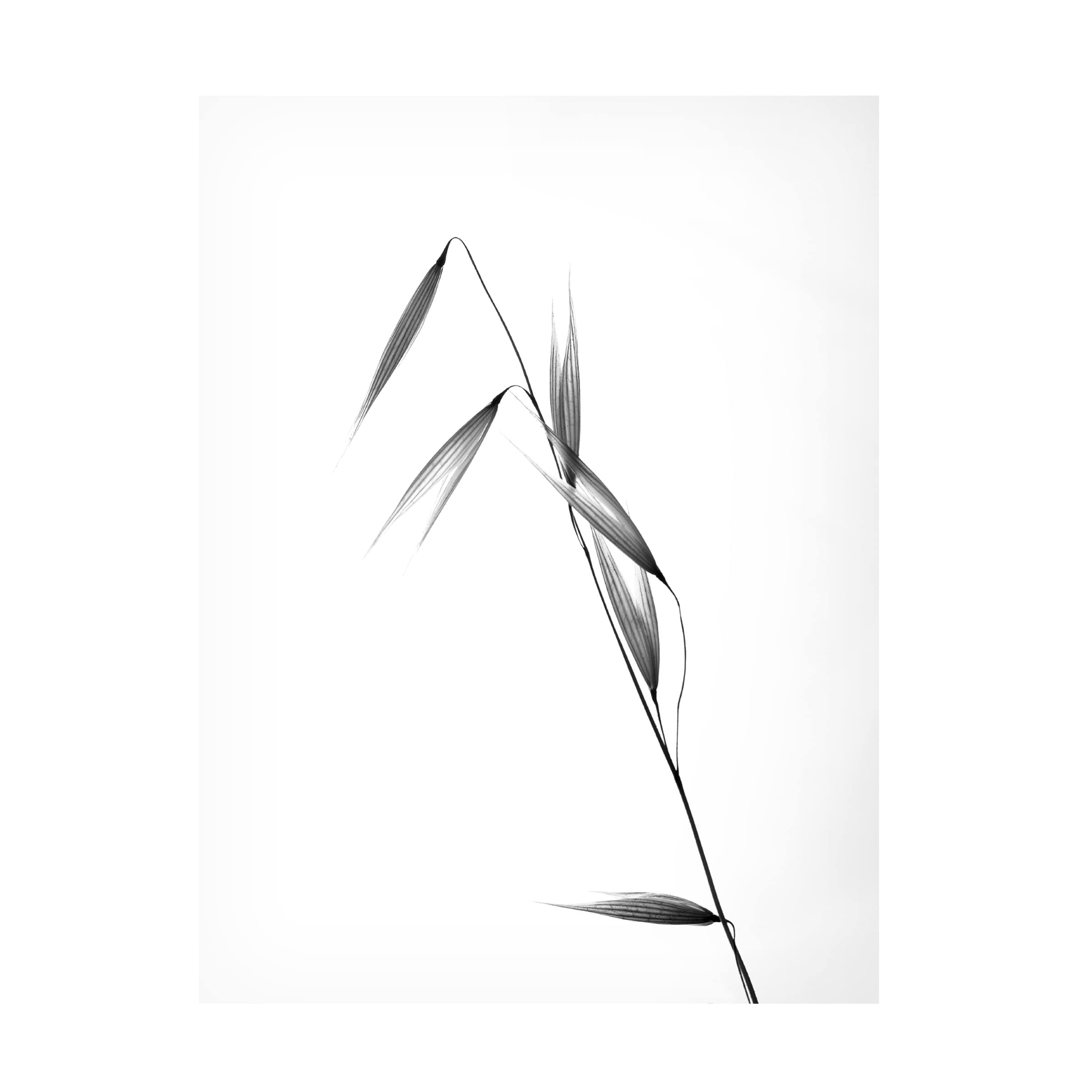 Carlos Gonzalez 'Siluetas' Canvas Wall Art - Modern Abstract Painting for Living Room, Bedroom & Office Decor | Trademark Fine Art Collection