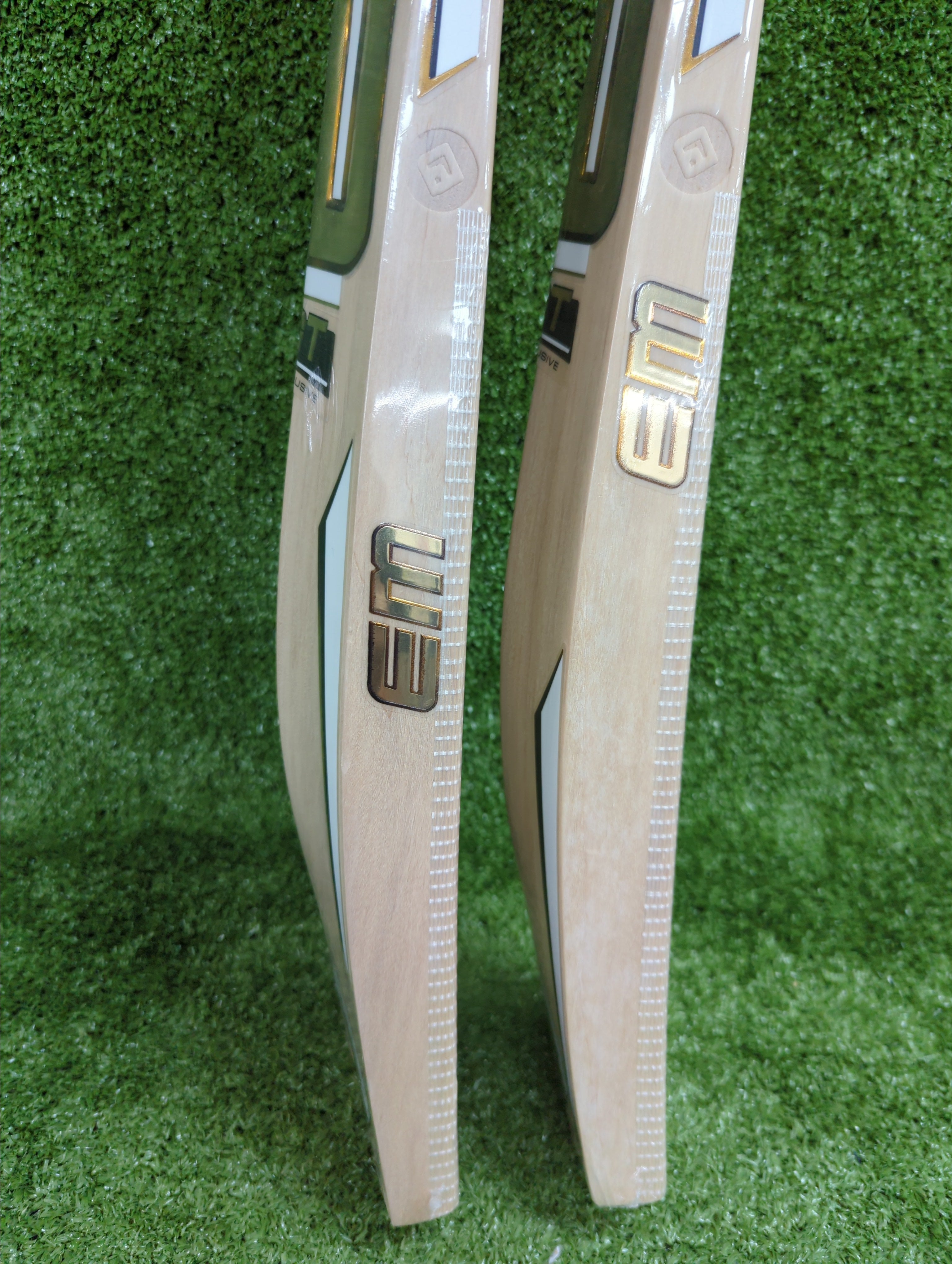 EM GT Exclusive Elite Leather Ball Selected Willow Cricket Bat - Premium Cricket Equipment for Professional Matches & Training