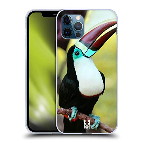 White Throated Toucan