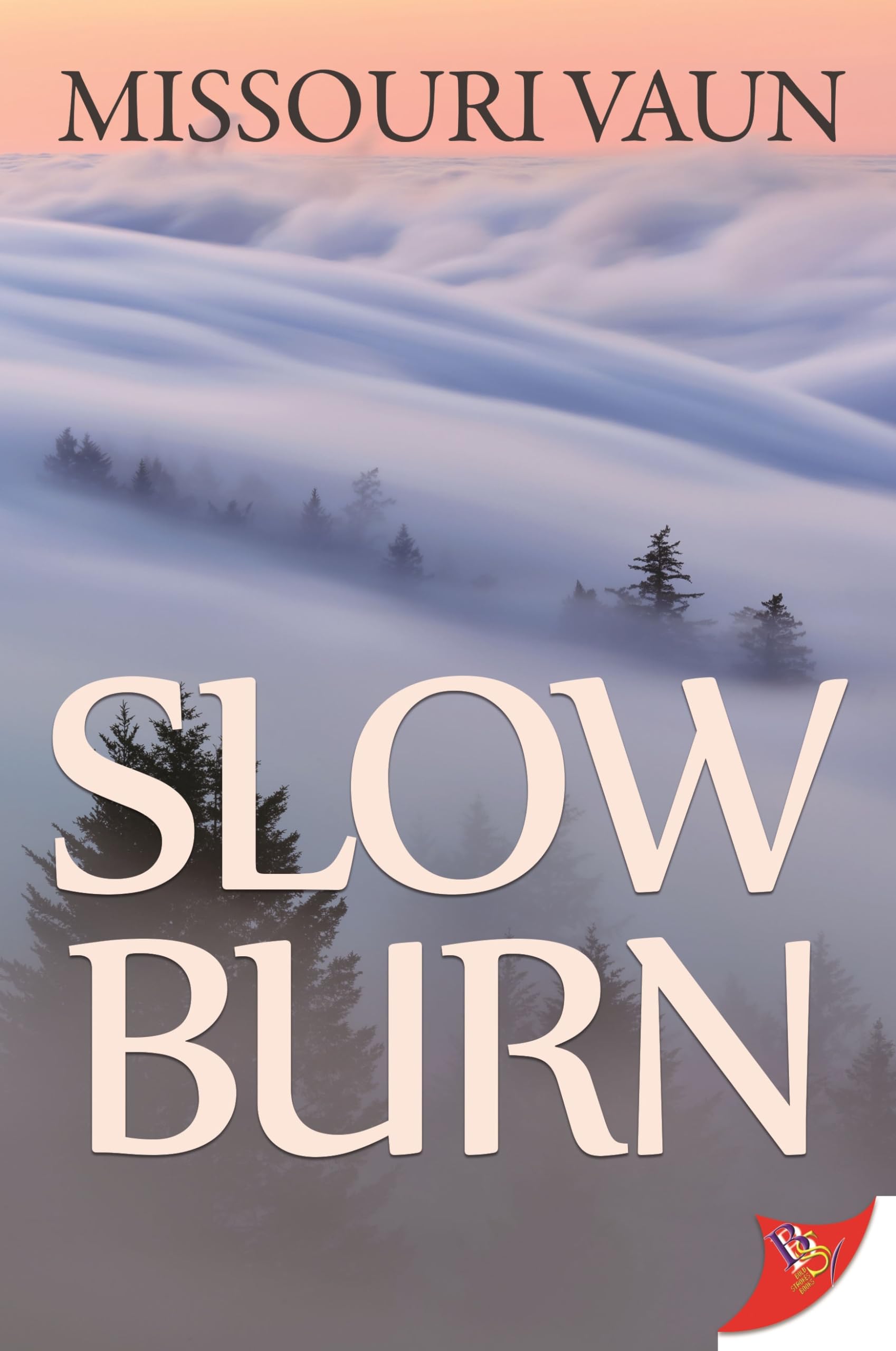 Slow Burn Weight Loss Supplement - Natural Fat Burner for Women & Men - Boost Metabolism & Energy - Ideal for Gym, Workouts & Active Lifestyle