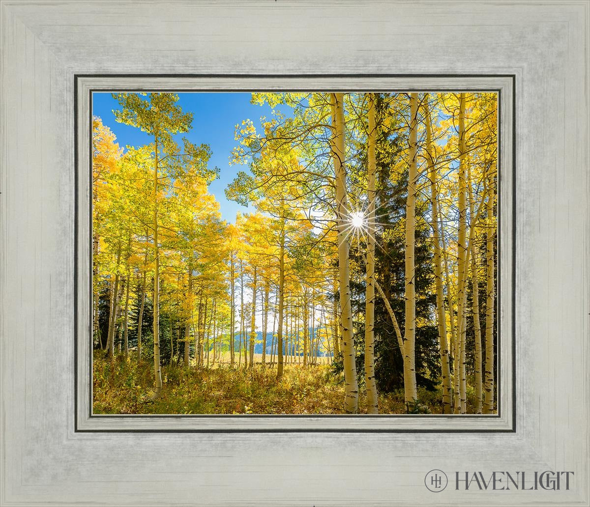 Autumn in the Rocky Mountains - Stunning Fall Foliage at Wasatch National Forest Utah | Perfect for Hiking, Photography & Nature Exploration