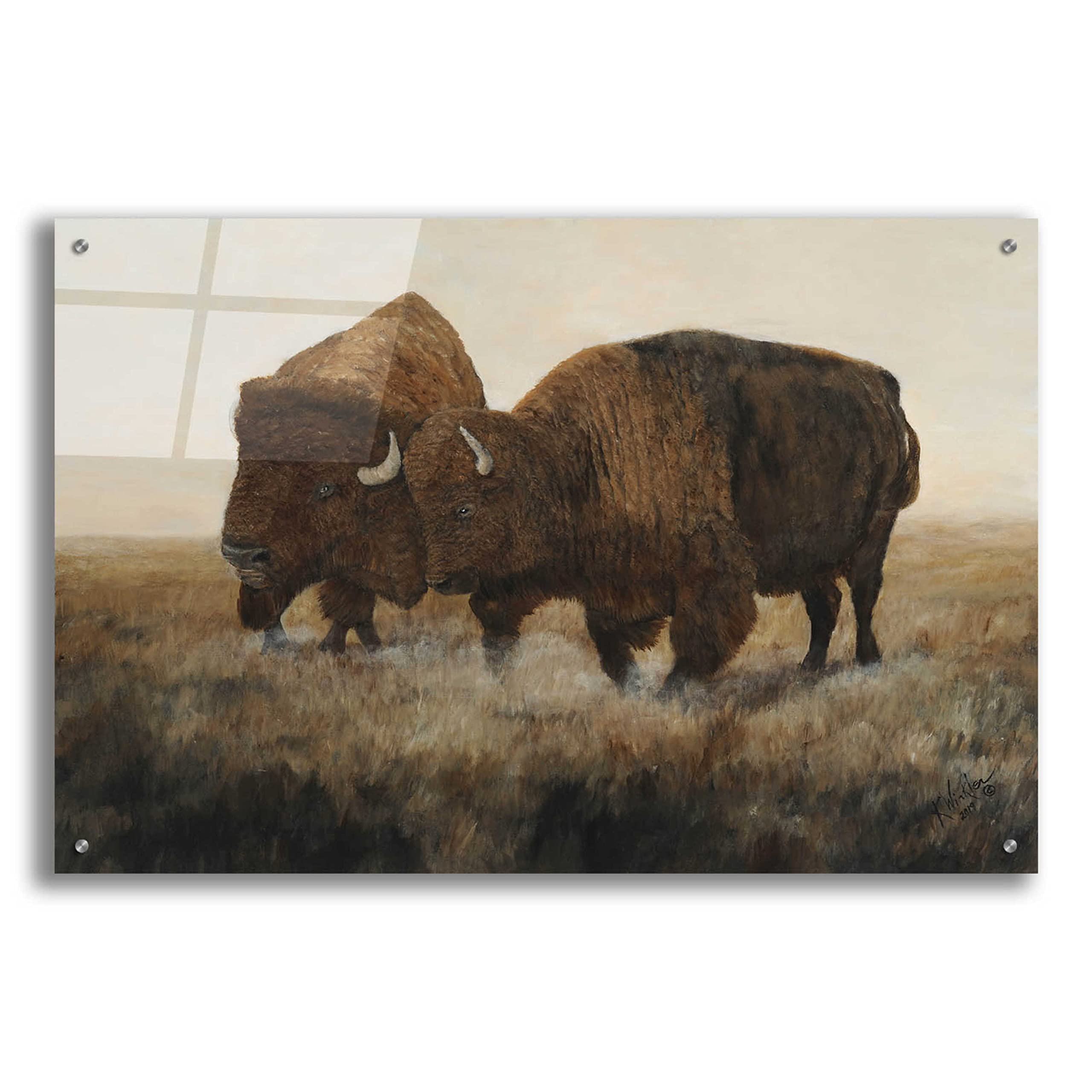 Epic Art 'The Dance' by Kathy Winkler - 36x24 Inch Acrylic Glass Wall Painting - Modern Home Decor for Living Room, Bedroom & Office