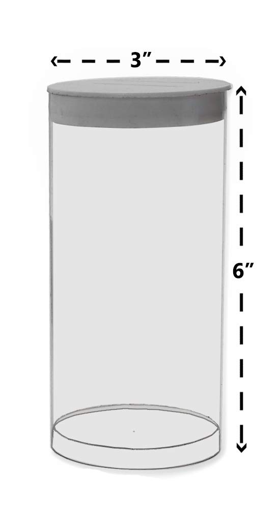 24-Pack Small Charity Donation Tubes - Clear Plastic Marketing Holders for Fundraising Events, Church Collections & Retail Countertop Displays
