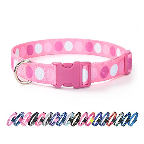 A-Pink Big Dots