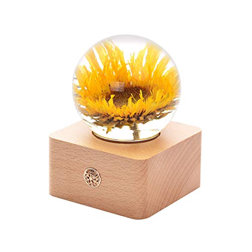 Teddy Sunflower