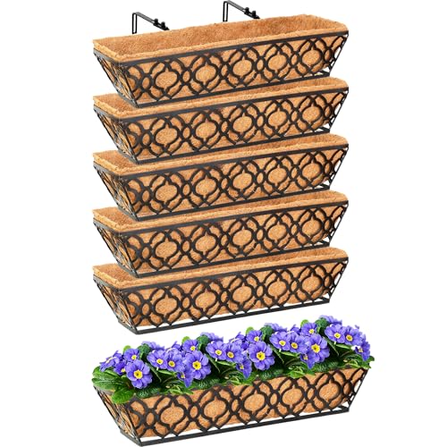 24in 6p Floral