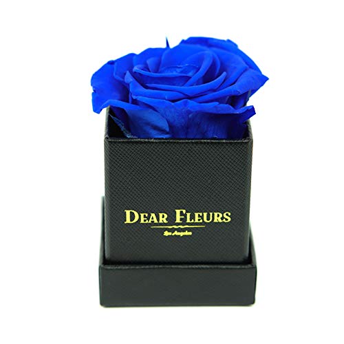 Petit Rose | Real Preserved Roses That Last 1 Year | Eternal Rose Gift in Luxury Royal Blue Leather Box (Perfect for Anniversaries, Valentine's Day & Home Decor)