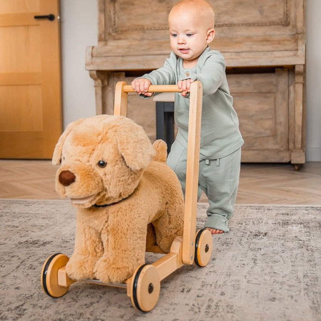 Dexter Dog Baby Walker - Adjustable Infant Walking Assistant for Toddlers 12-24 Months - Safe & Sturdy First Steps Trainer for Home Use