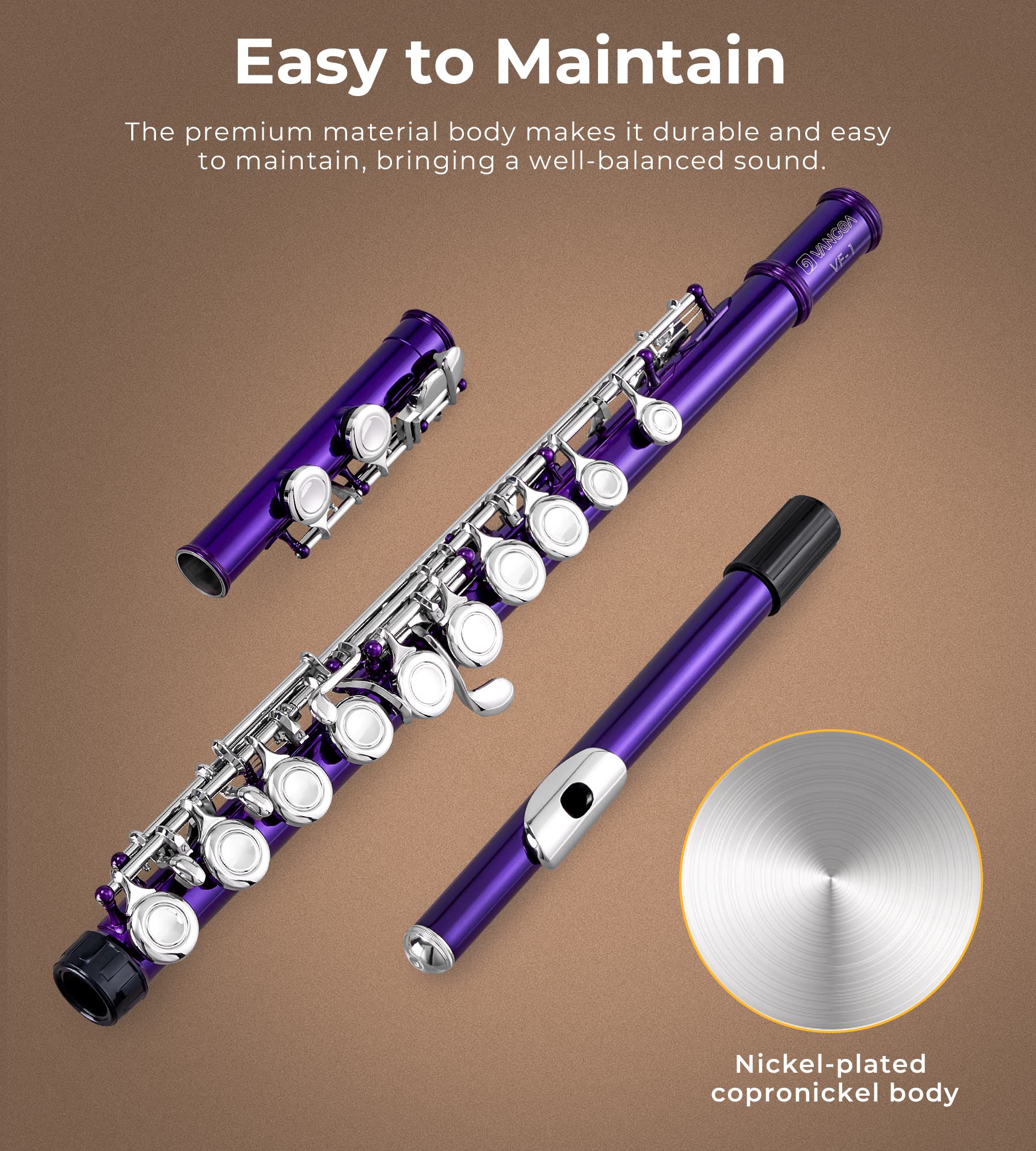 Vangoa 16-Key C Flute for Beginners - Nickel Plated Closed Hole Student Flute with Carrying Case, Stand & Cleaning Kit (Purple) - Perfect for School Band, Music Lessons & Home Practice