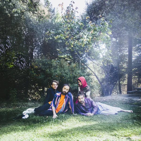 Big Thief UFOF Vinyl Record - Limited Edition Indie Folk Album for Music Lovers | Perfect for Home Listening & Record Collection