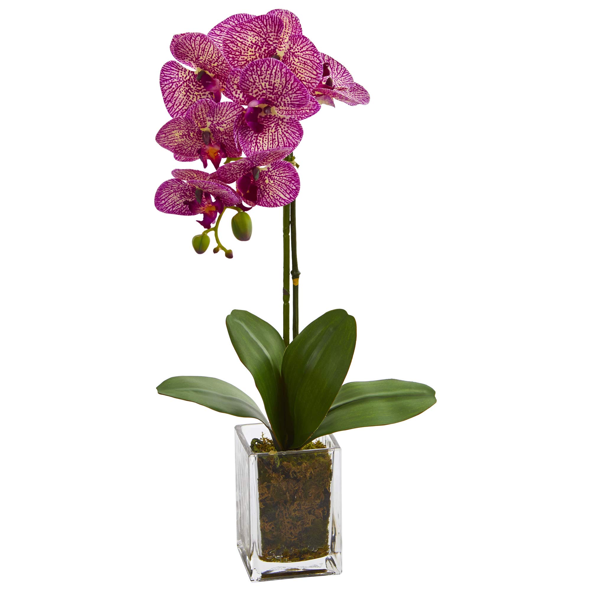 Nearly Natural 24 Inch White Phalaenopsis Orchid Artificial Flower Arrangement in Glass Vase - Perfect for Home Decor, Wedding Centerpieces & Office Desk Decorations