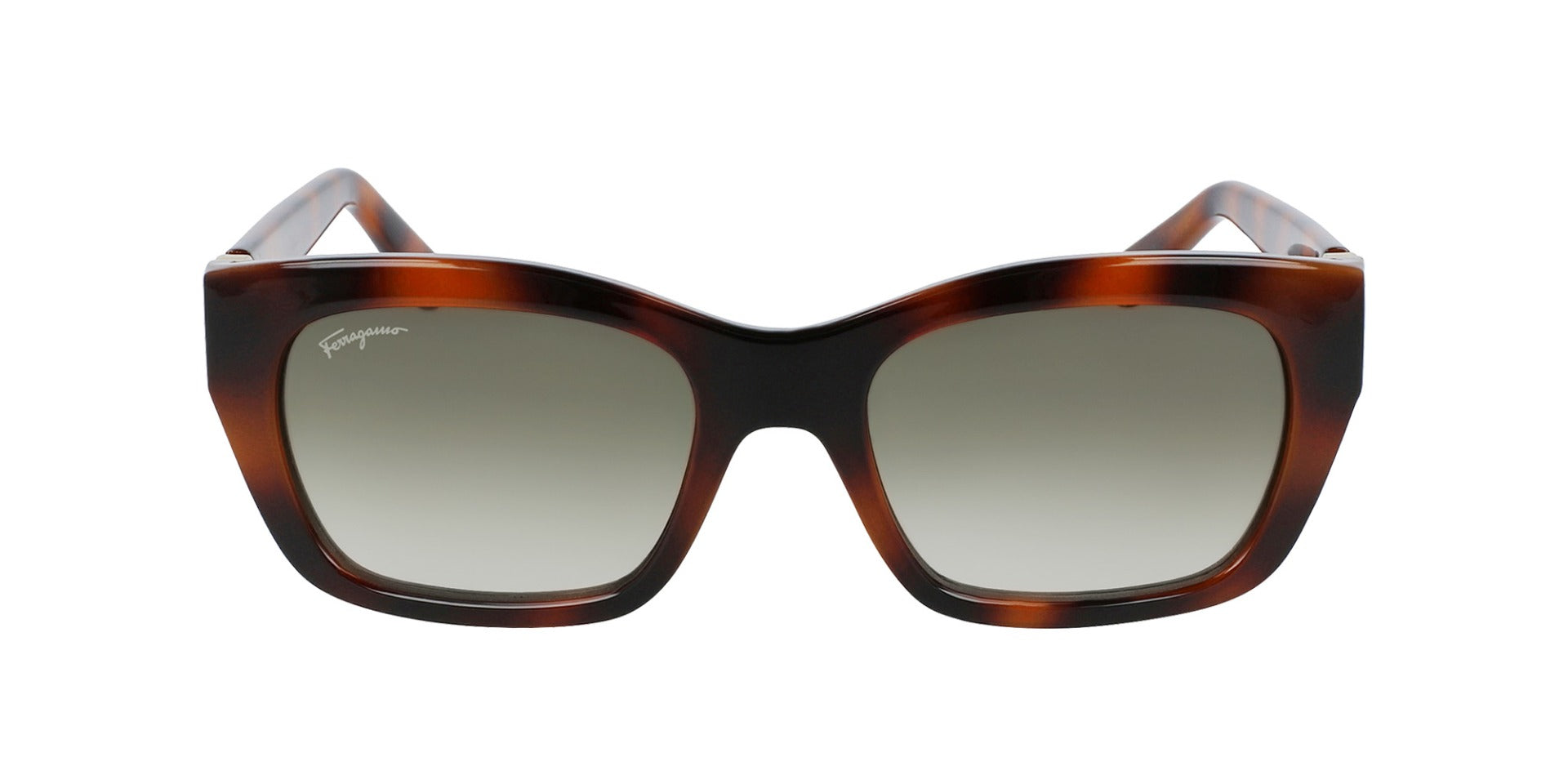 Ferragamo SF1012S Sunglasses for Women - Luxury Designer Shades with UV Protection - Perfect for Outdoor, Beach, and Travel Fashion Accessories