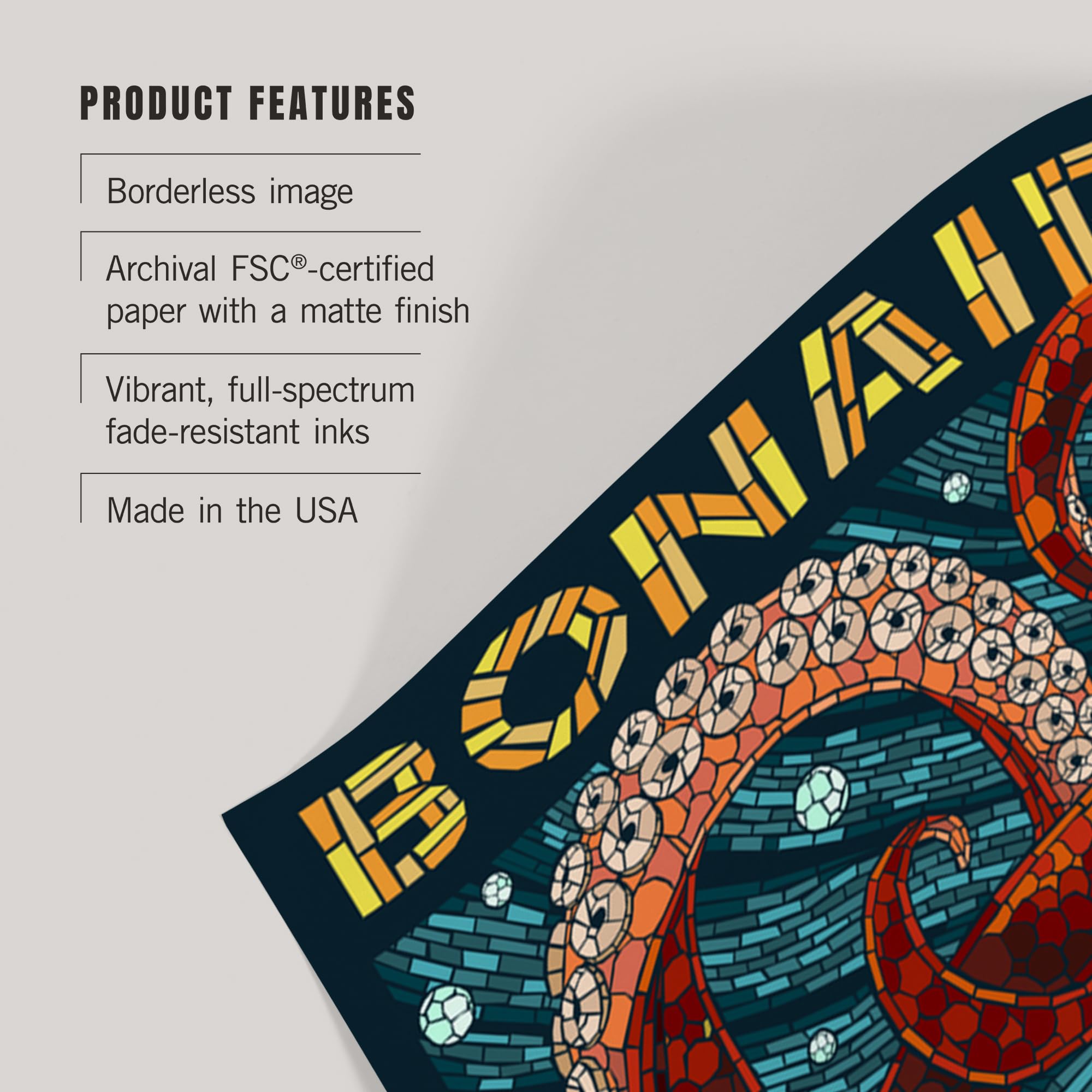 Lantern Press 16x24 Inch Giclee Art Print - Bonaire Dutch Caribbean Octopus Mosaic Wall Decor | Perfect for Living Room, Bedroom & Office