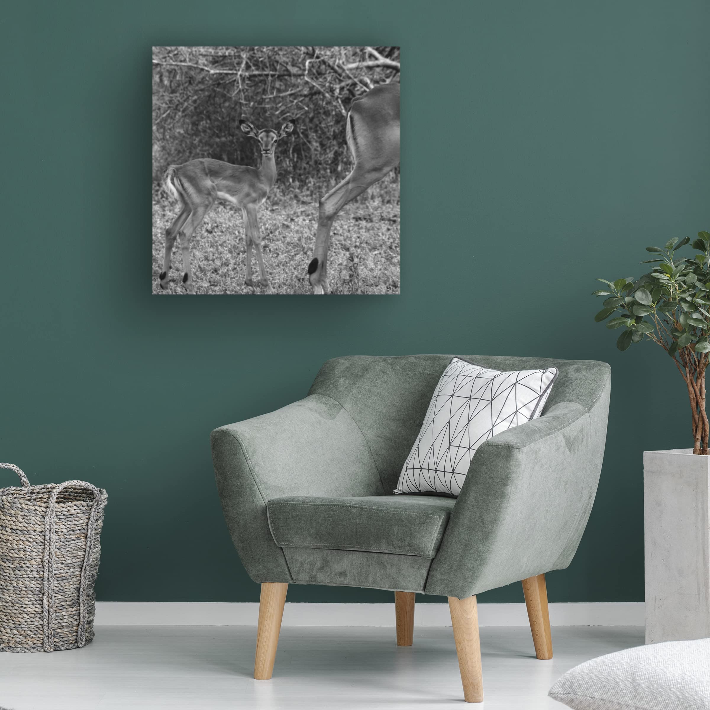 Trademark Fine Art 'Impala And Baby' Canvas Wall Art by Aledanda - Stunning Wildlife Nursery Decor & African Safari Themed Living Room Painting
