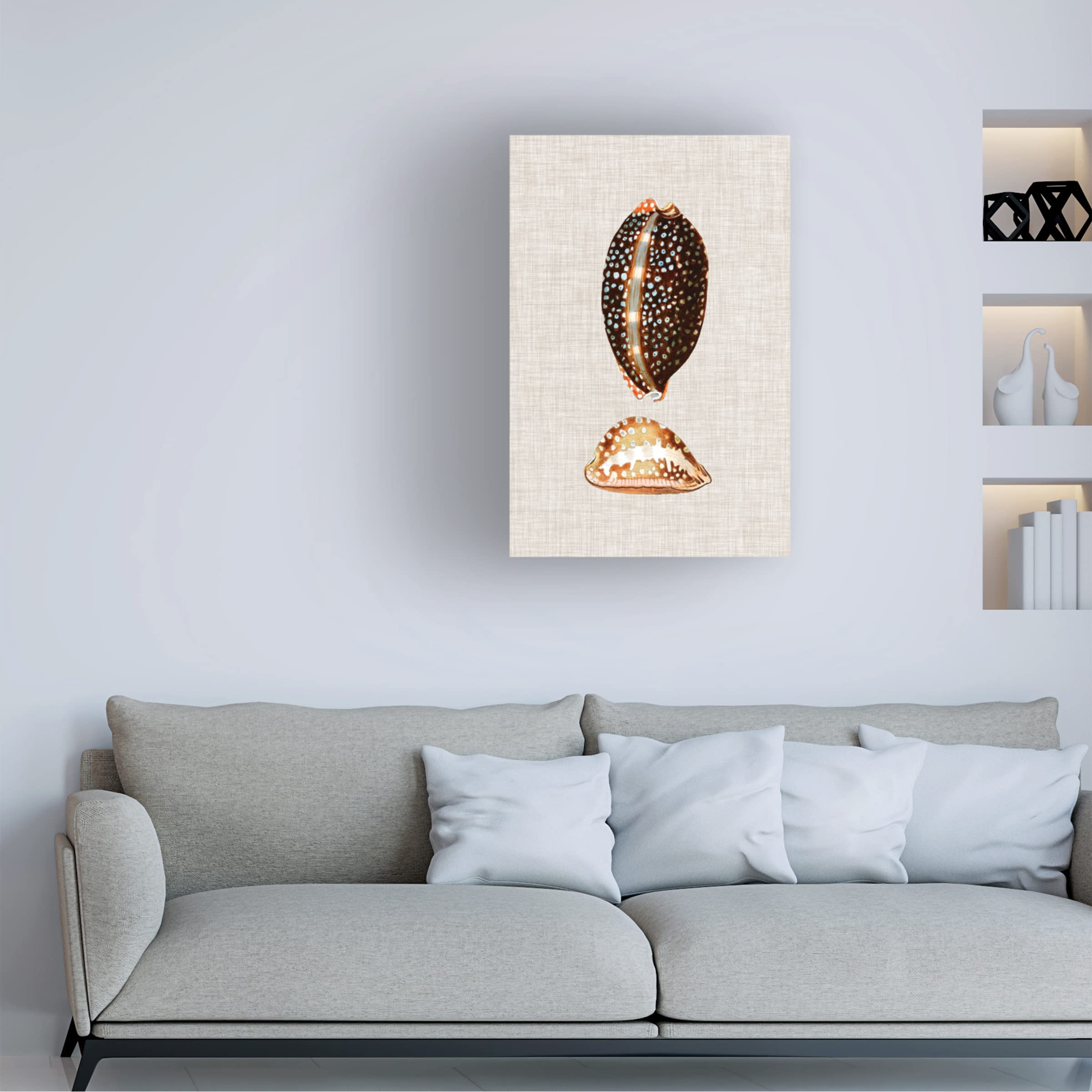 Trademark Fine Art 'Antique Shells on Linen IV' Canvas Wall Art Print by Vision Studio - Perfect for Beach House Decor, Coastal Living Room & Bathroom Wall Decor