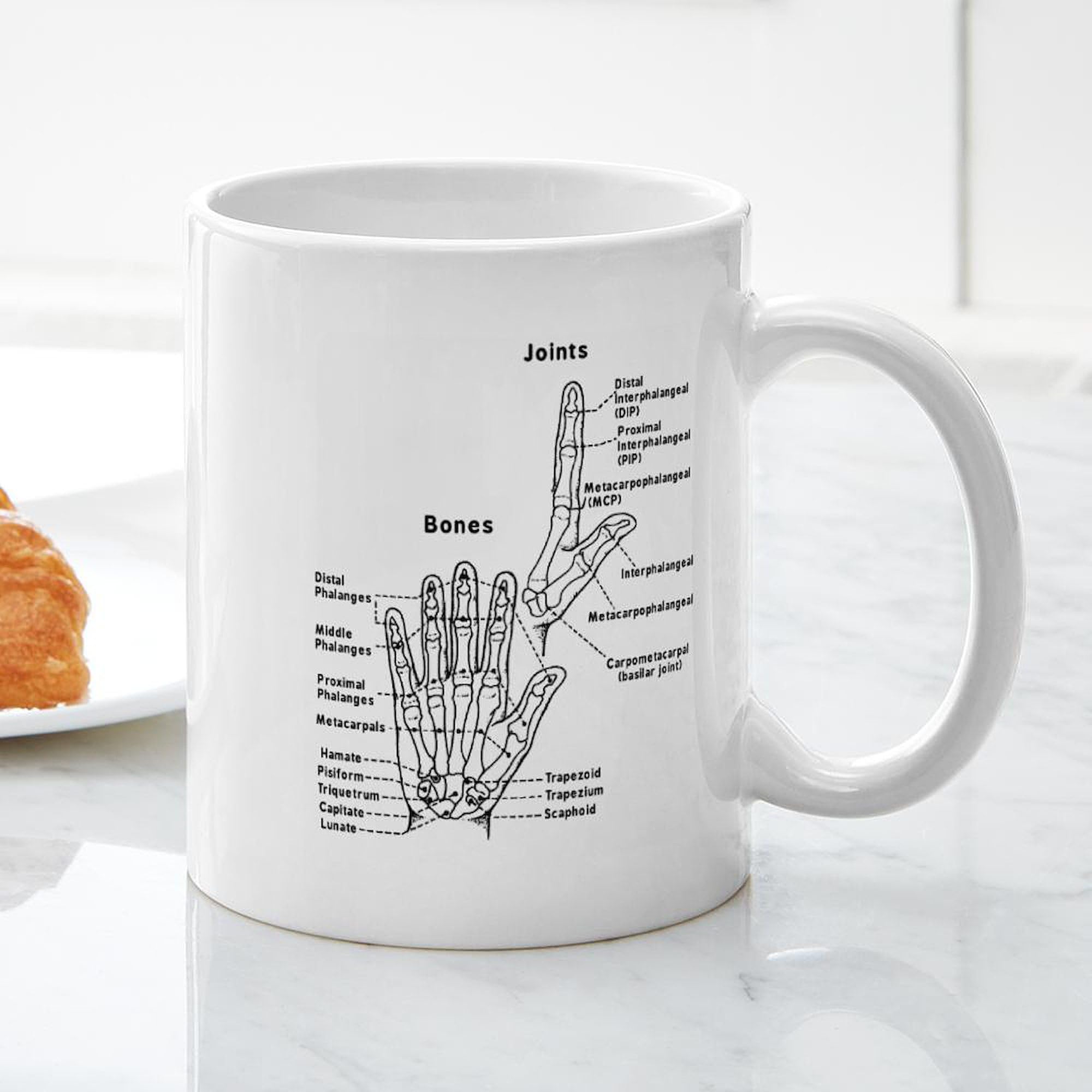 Hand Anatomy Coffee Mug - 11 oz (325 ml) Ceramic Cup for Doctors, Nurses & Medical Students | Perfect Gift for Anatomy Lovers, Office Use & Study Sessions