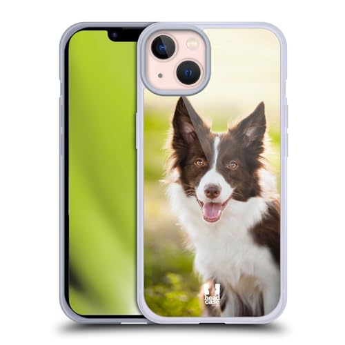 Brown Border Collie In Summer