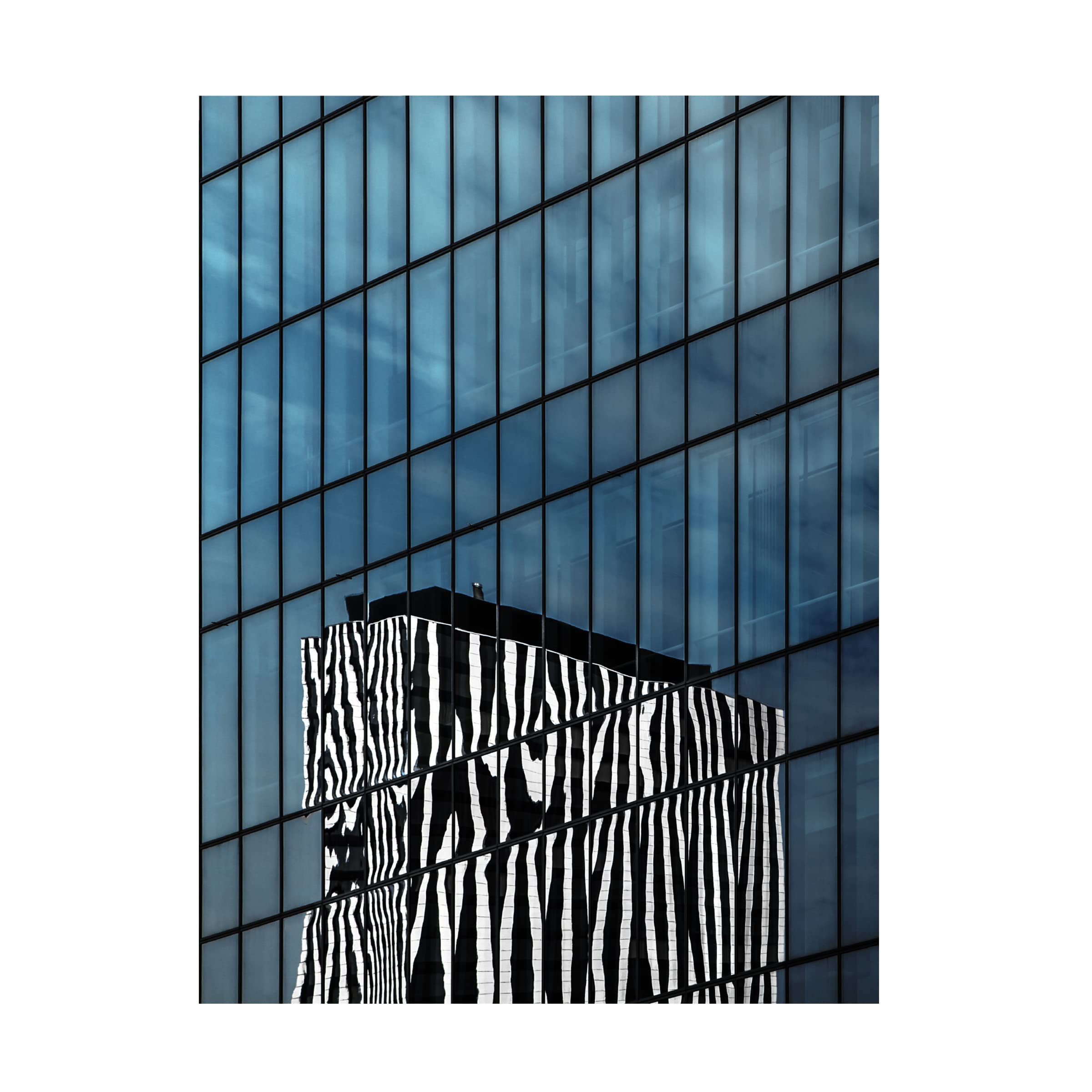 Trademark Fine Art 'The Zebra Neighbor' Canvas Art by Gilbert Claes - Modern Wildlife Wall Decor for Living Room, Bedroom & Office