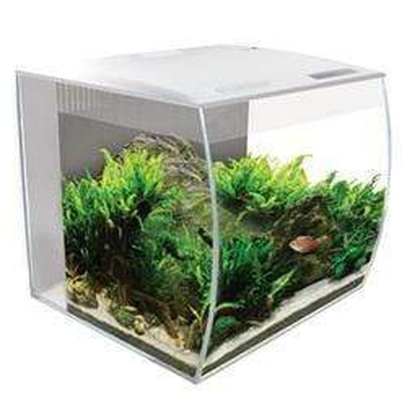 Fluval FLEX 9 Gallon Aquarium Kit with LED Lighting - Complete Fish Tank Starter Set for Beginners | Perfect for Home, Office & Classroom Decor