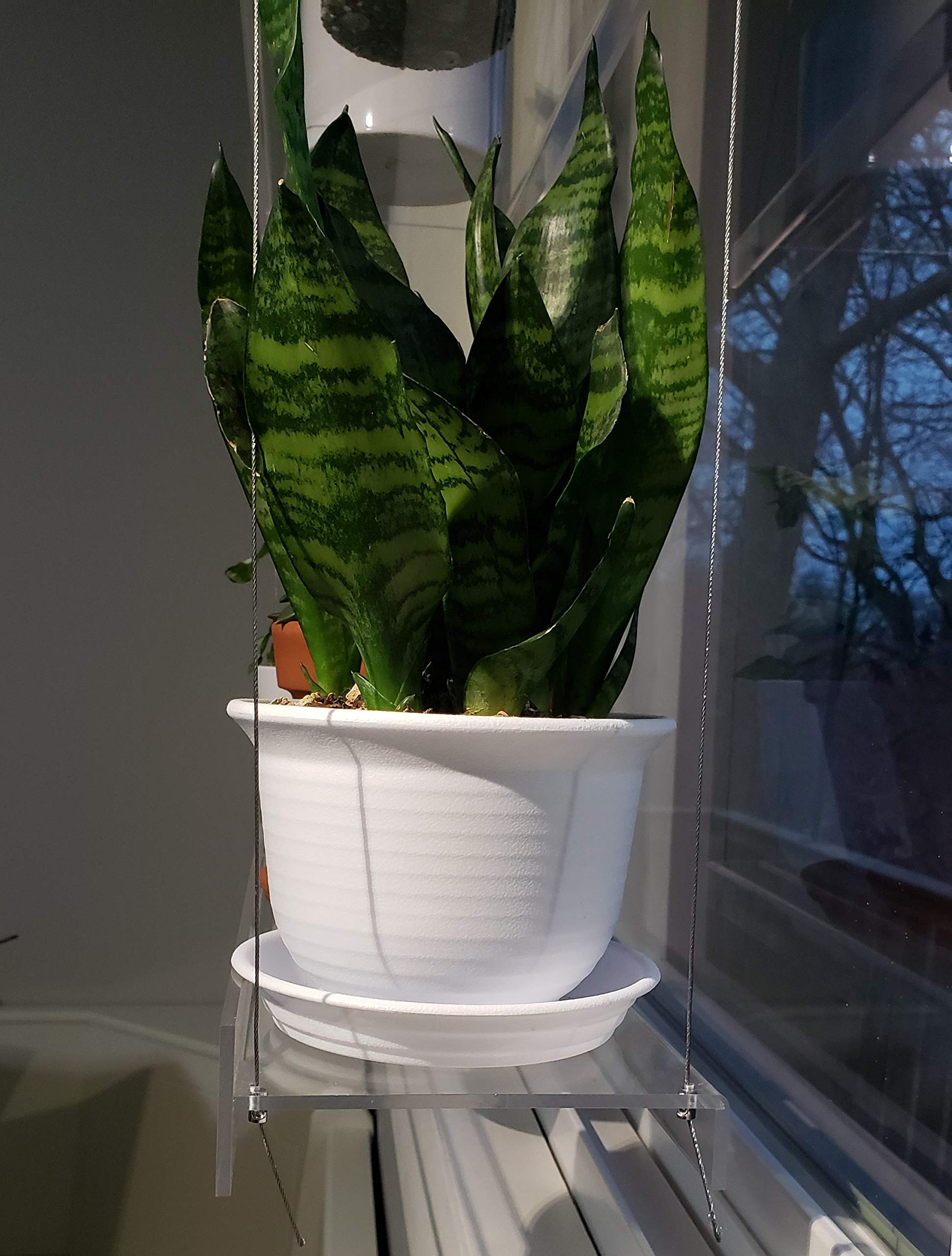 Clear Acrylic Window Shelves for Plants & Decor - 22