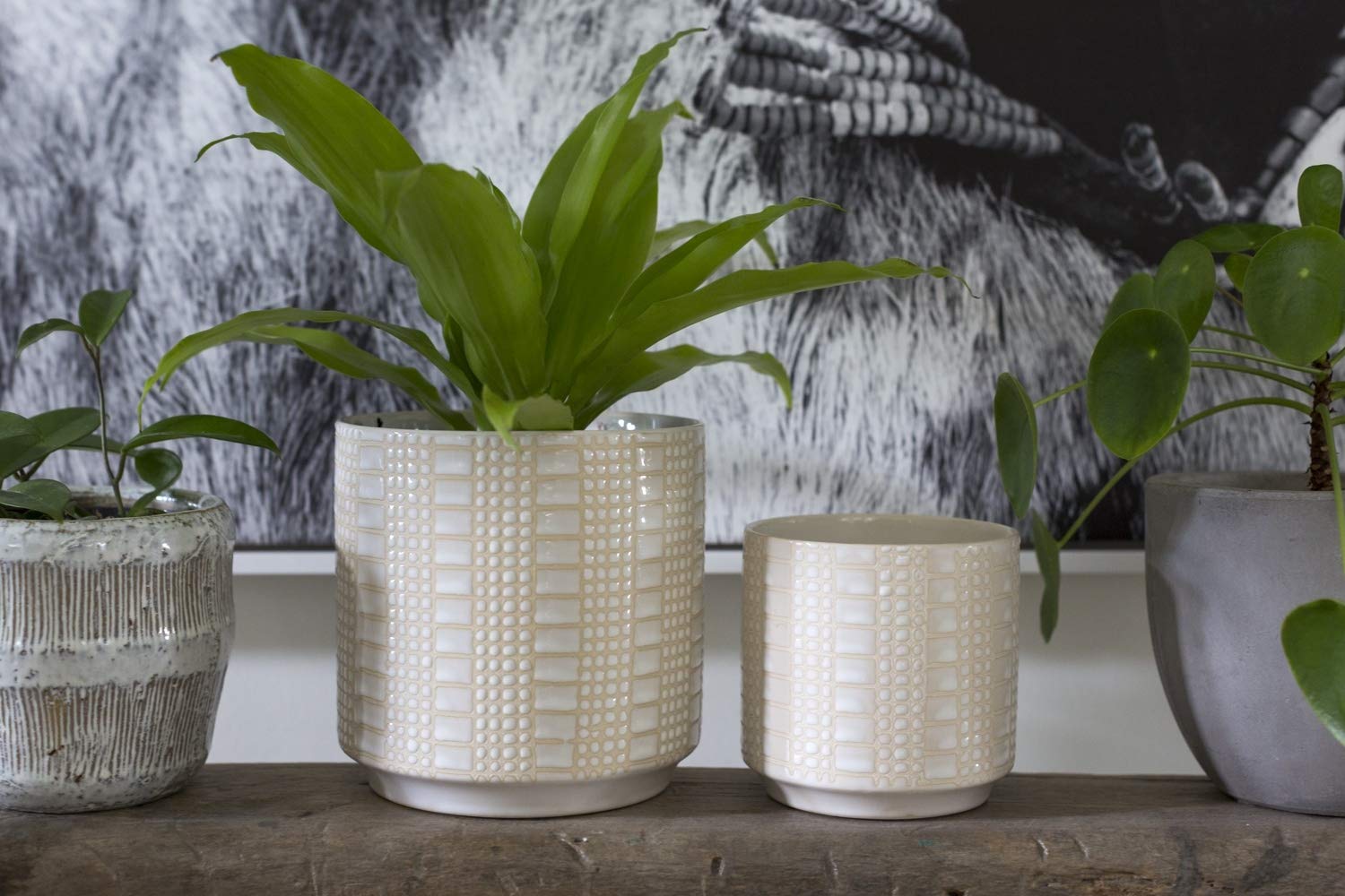 Zati White Ceramic Plant Pot - 4.75 Inch Modern Flower Vase for Indoor Plants, Home & Office Decor - Perfect for Succulents, Small Flowers & Desk Decorations