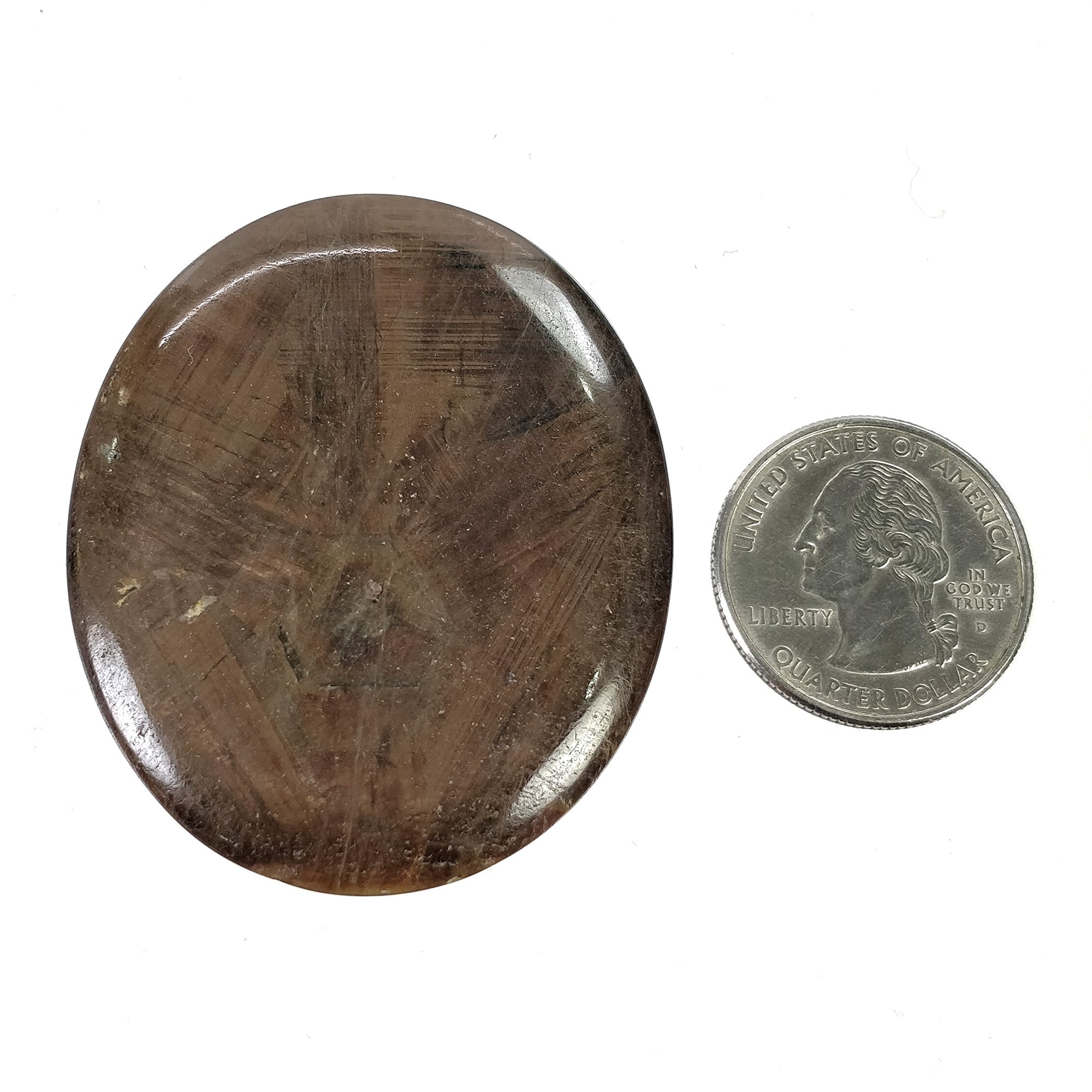 Natural Untreated Golden Brown Chocolate Sapphire Gemstone Cabochon - 145.00cts Oval Shape 54x45mm TRAPICHE (With Video) - Perfect for Jewelry Making, Collecting & Healing Crystals