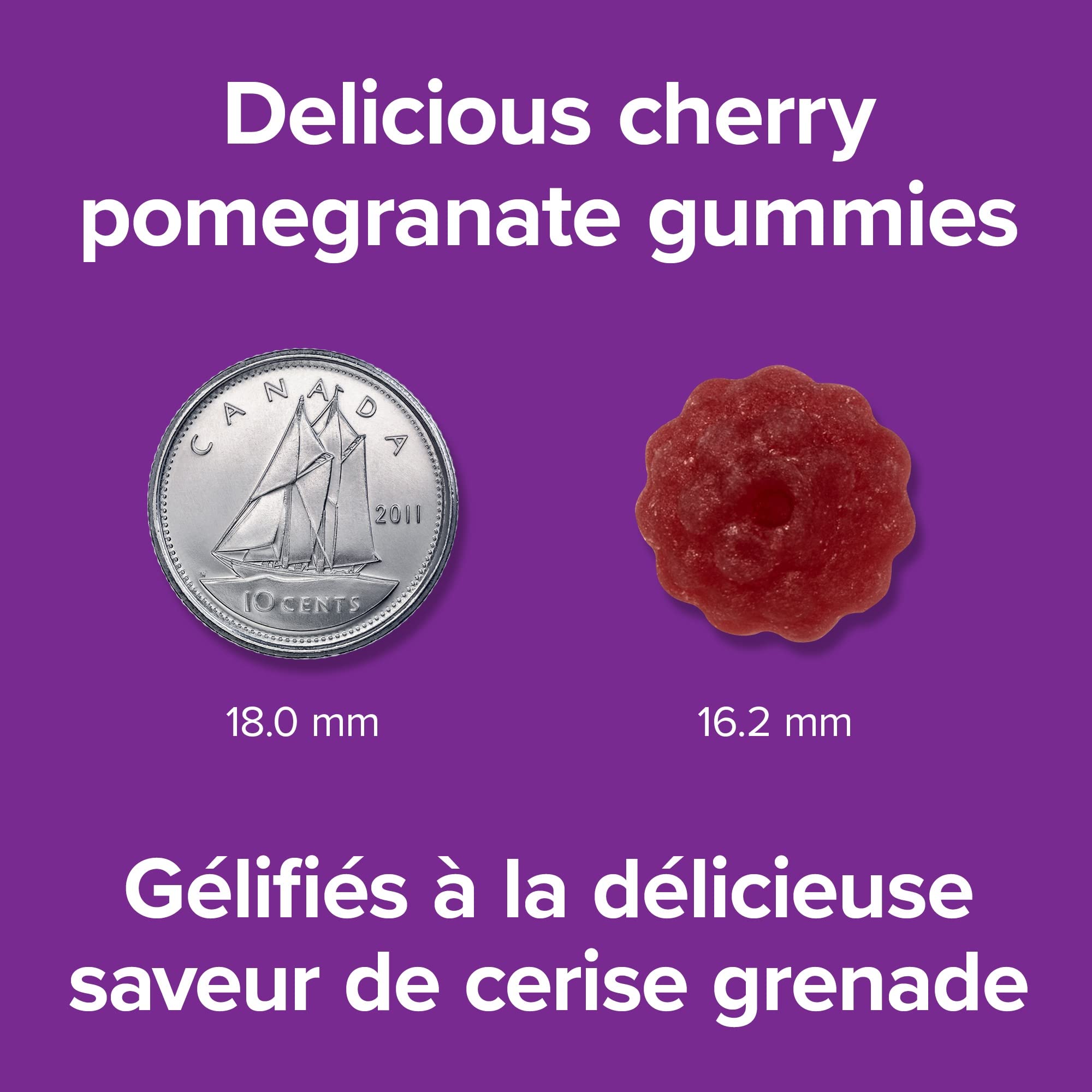 Webber Naturals Vitamin B12 Gummies 1000 mcg - Cherry Pomegranate Flavor, 60 Count | Energy & Immune Support Supplement for Adults | Perfect for Busy Lifestyles & Vegan Diets