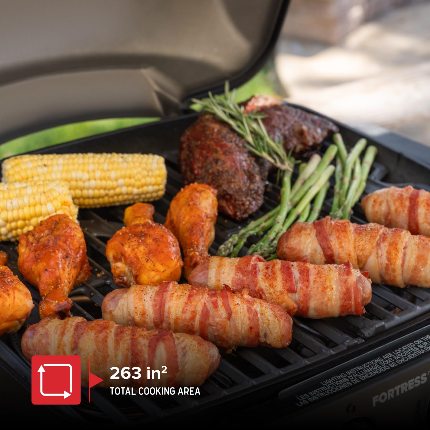Nexgrill Fortess 2-Burner Portable Gas Grill & Griddle Combo - 263 SQ In Cooking Space, 13,500 BTU, Easy Lift Handles - 2-in-1 Tabletop Grill for Camping, Backyard BBQ, Tailgating, and Outdoor Cooking (Model 820-02005)