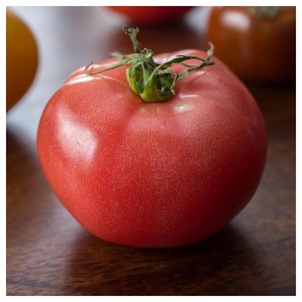 Everwilde Farms - 50 Eva Purple Ball Heirloom Tomato Seeds - Non-GMO, Organic, Open Pollinated - Gold Vault Seed Packet for Home Garden, Greenhouse & Urban Farming