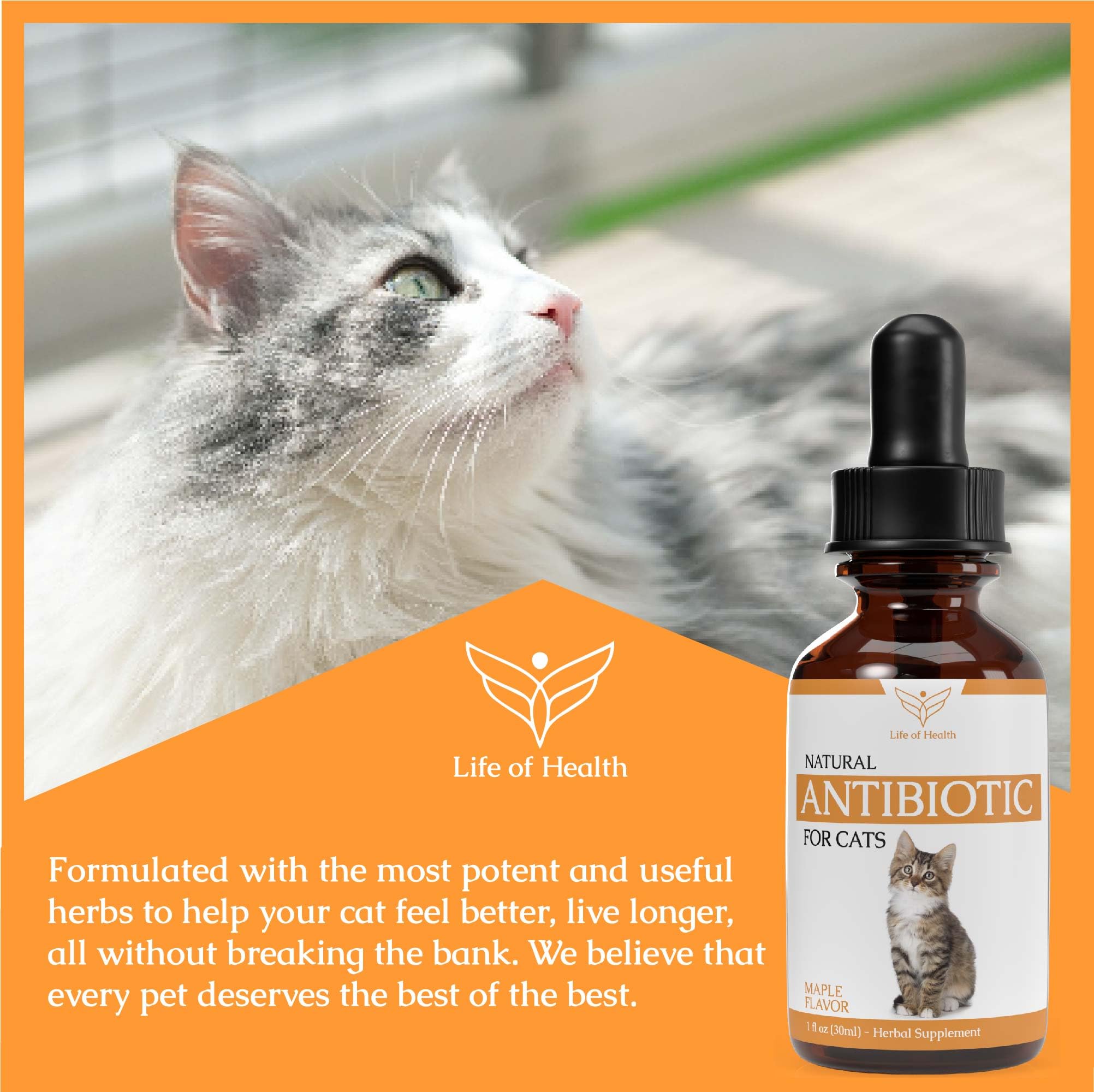 Natural Antibiotics for Cats - Immune Support & UTI Relief - Cat Antibiotic Supplement with Multivitamins (2 Pack) - Supports Overall Health for Indoor & Outdoor Cats