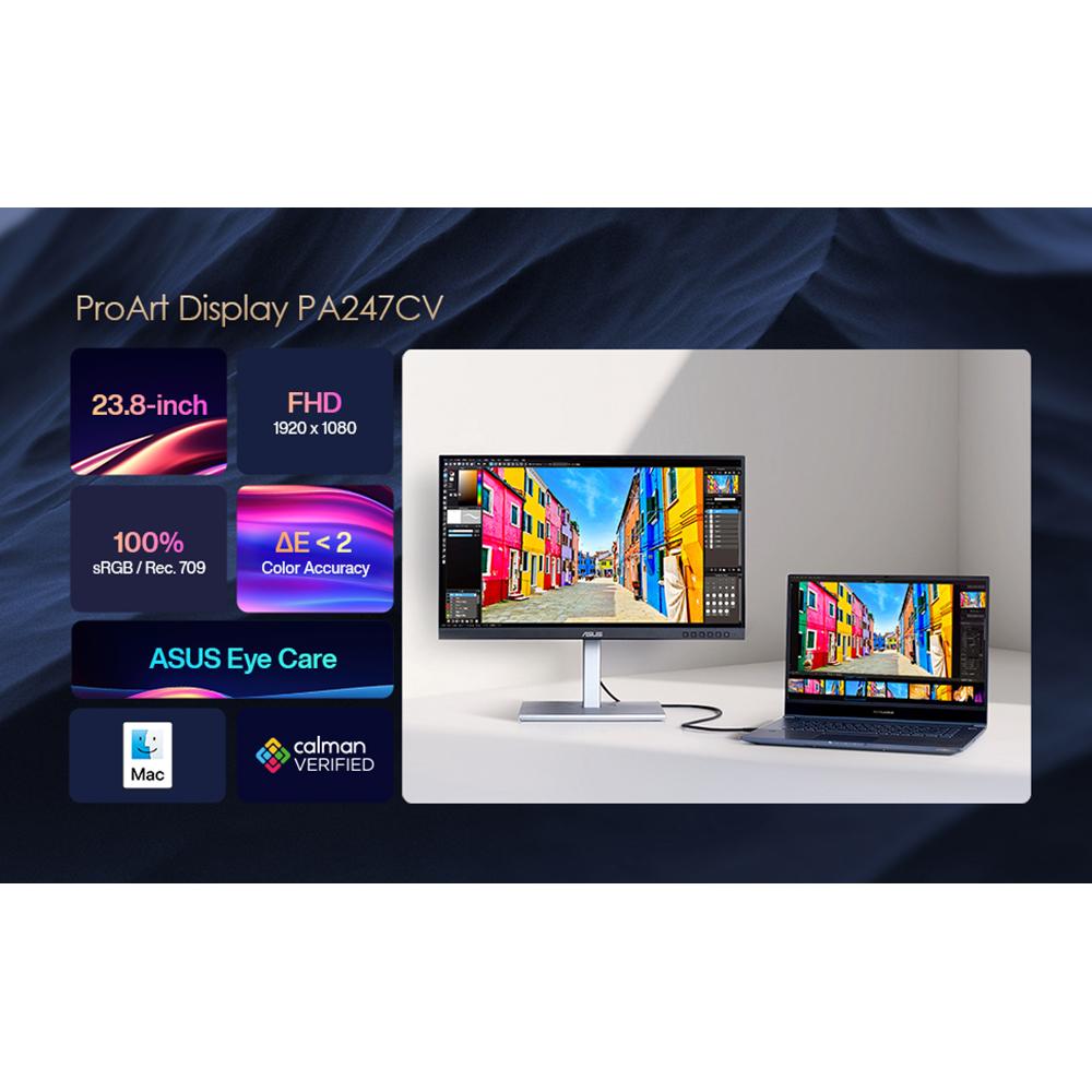 ASUS ProArt PA248QV 23.8