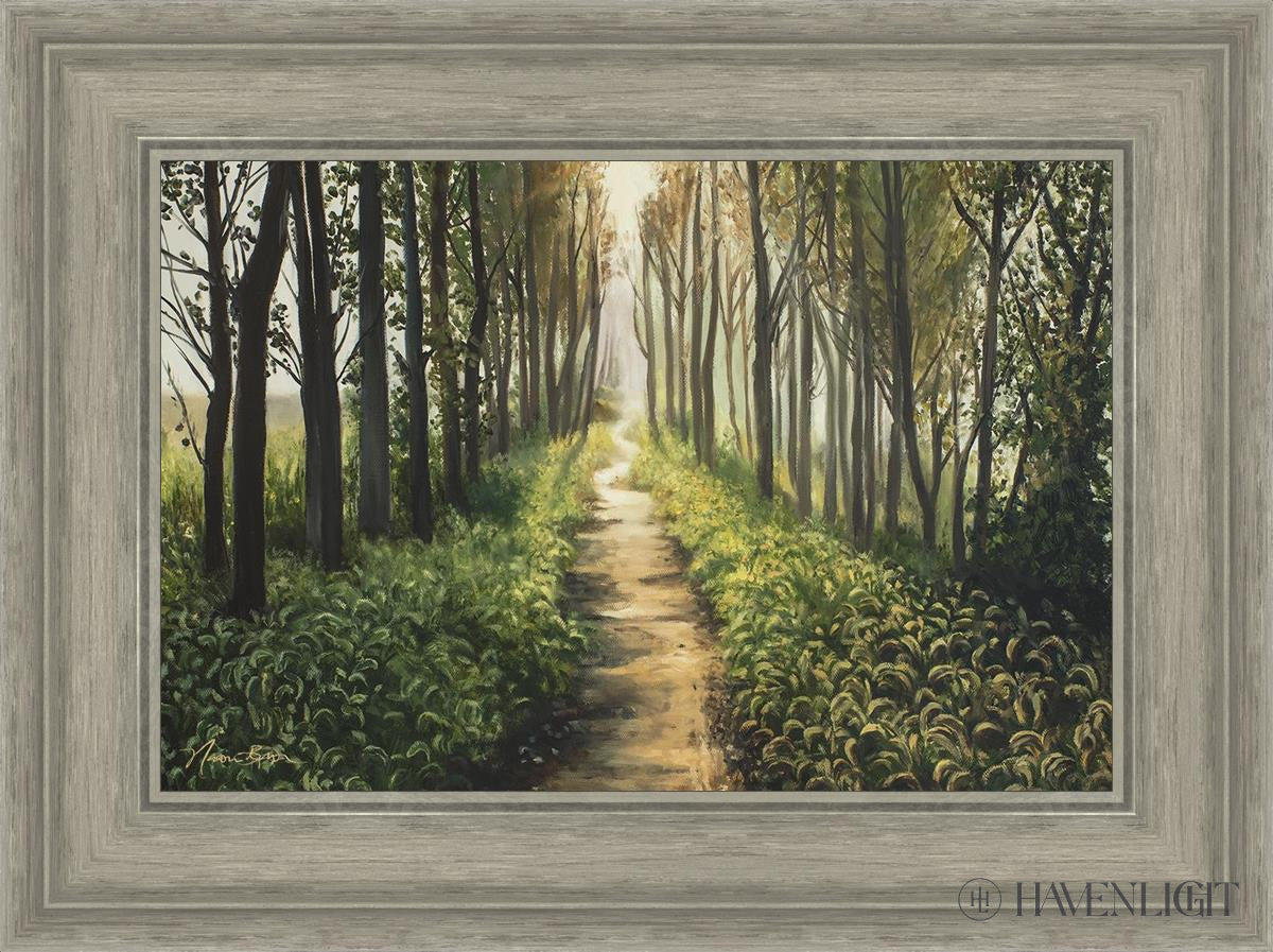Forest Walkway - Beautiful Wooden Pathway for Gardens, Parks & Trails | Perfect for Outdoor Decor & Nature Walks