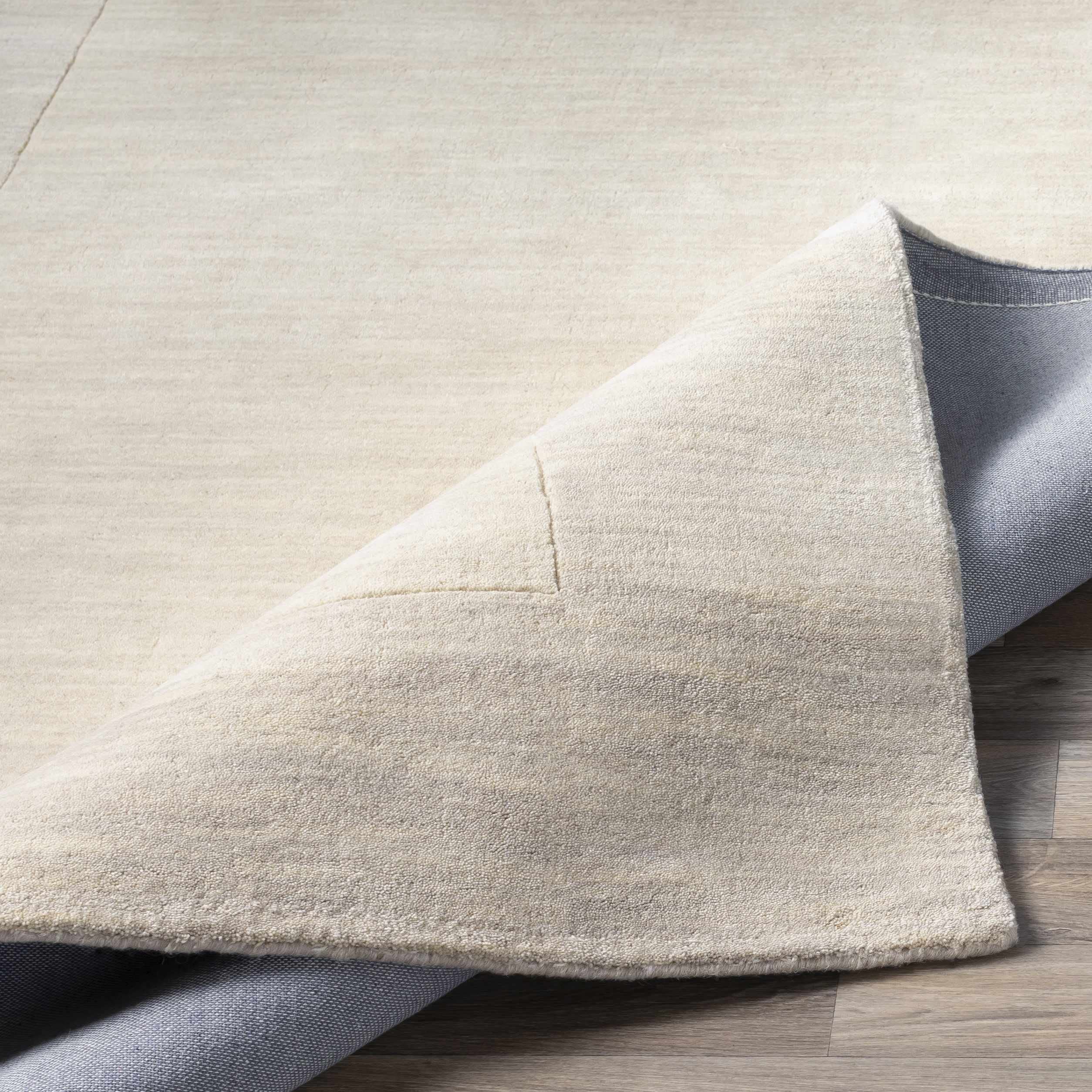 Hauteloom Ronkonkoma Wool Area Rug for Living Room & Bedroom - Solid Beige with Border - 8' x 11' - Soft & Durable - Perfect for Cozy Home Decor