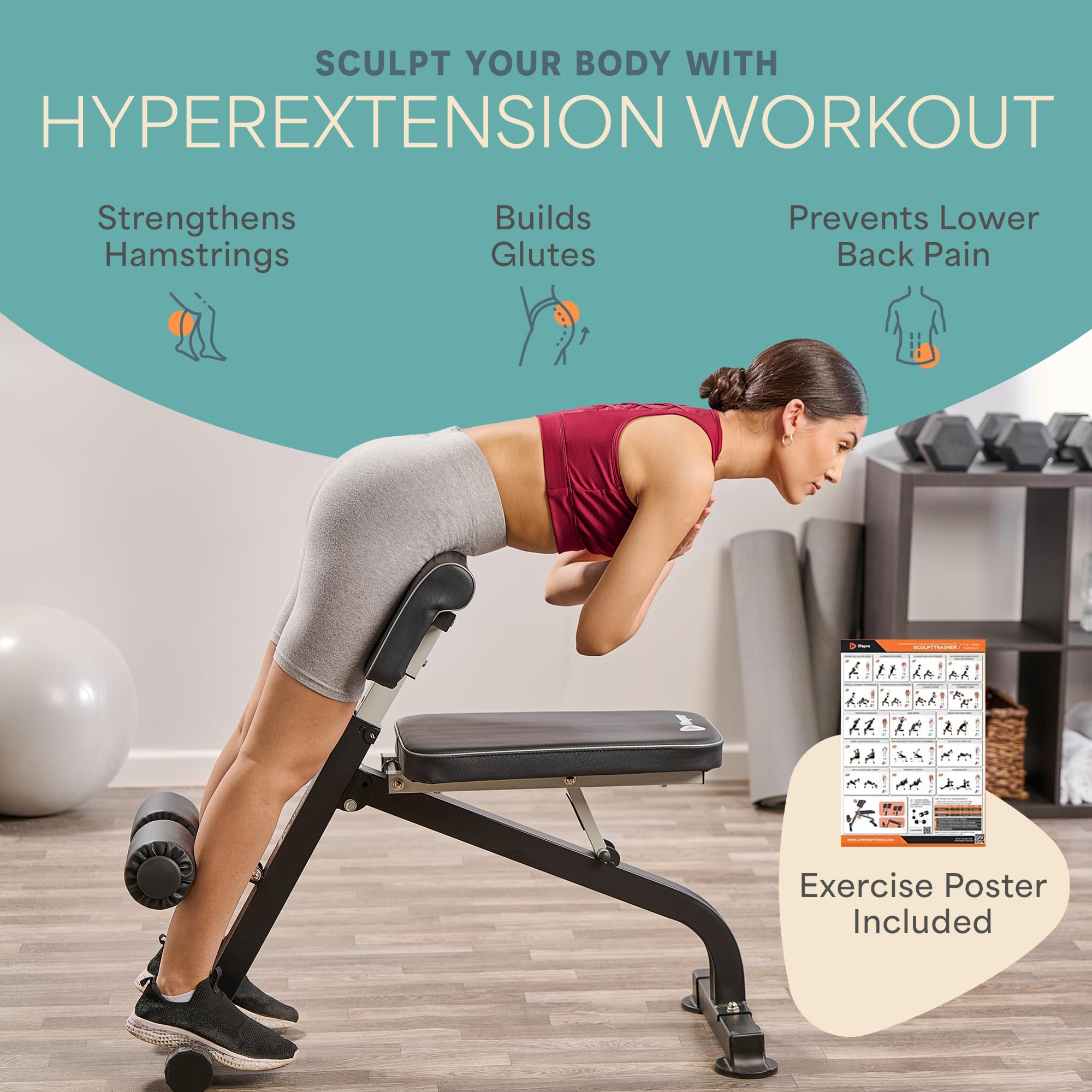 Lifepro Adjustable Roman Chair Hyperextension Bench - Foldable Back Extension Machine for Glutes, Hamstrings & Lower Back Workout - Home Gym Equipment for Core Strength Training | Perfect for Home Fitness, CrossFit & Rehabilitation Exercises
