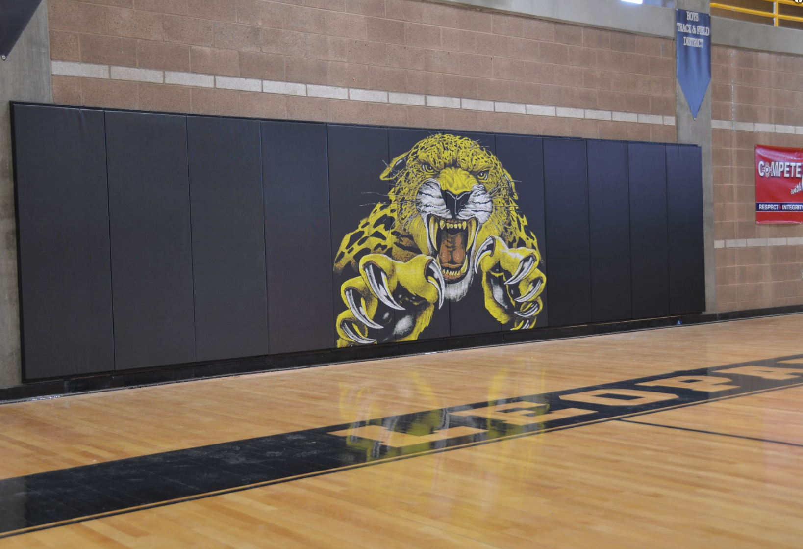 Premium Wood Backed Gym Wall Padding Panels 2' x 6' - Durable Impact Protection for Home Gyms, Martial Arts Studios & Playrooms